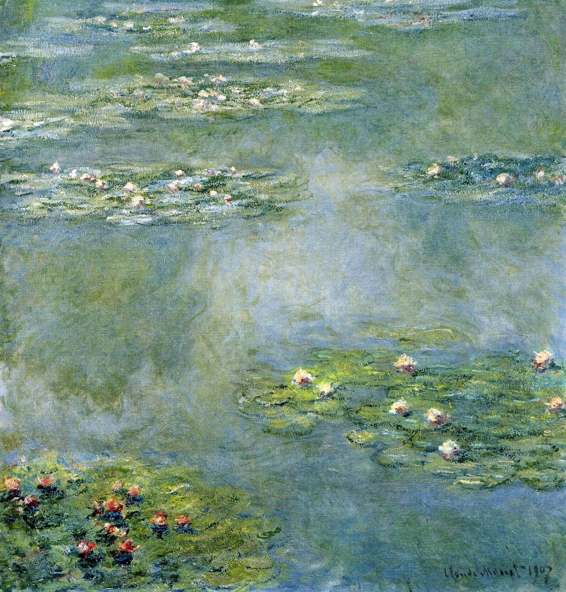 water lilies