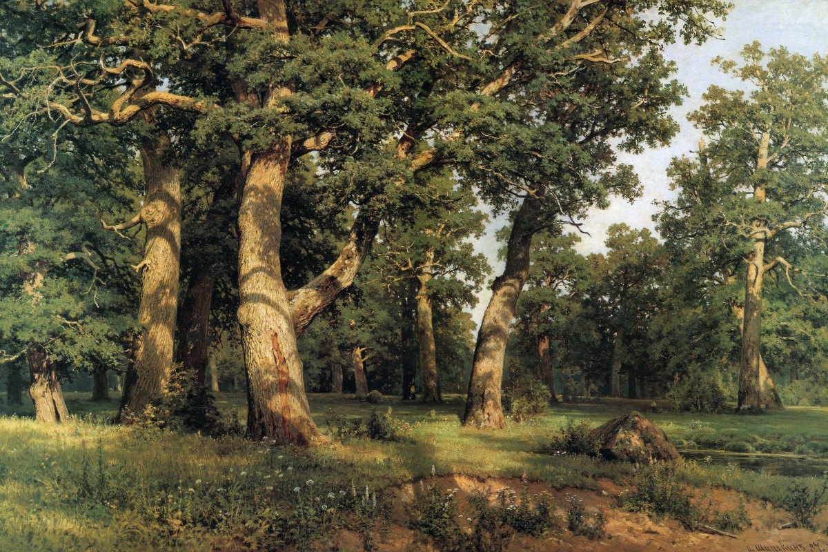 Ivan Shishkin. Oak grove