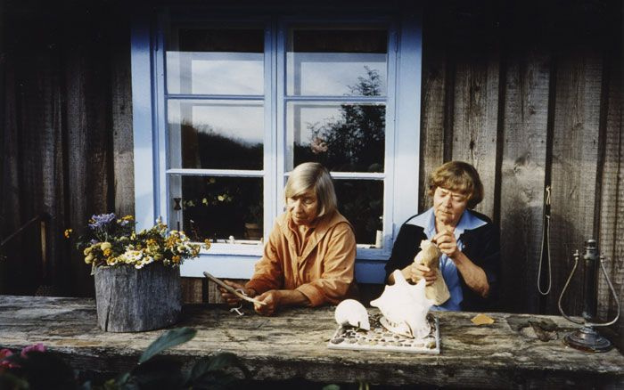 Tove Jansson's Unknown Paintings And The New Truths of The Moomins: The Reverse Side of Moominvalley