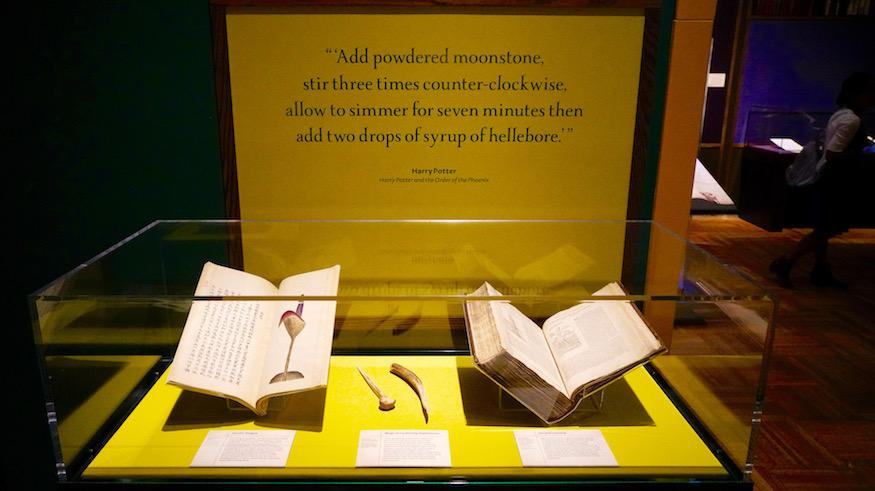 Magic comes into our life! The Harry Potter's show was opened in New York Historical Society