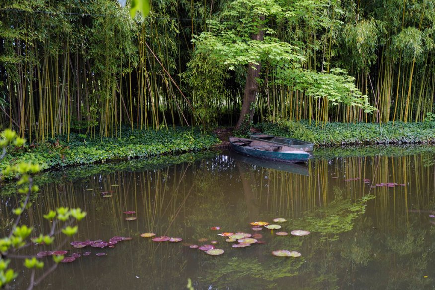 Photo: François Mori / The Guardian