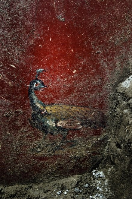 Frescoes and Ash. Painting and Design in Ancient Pompeii