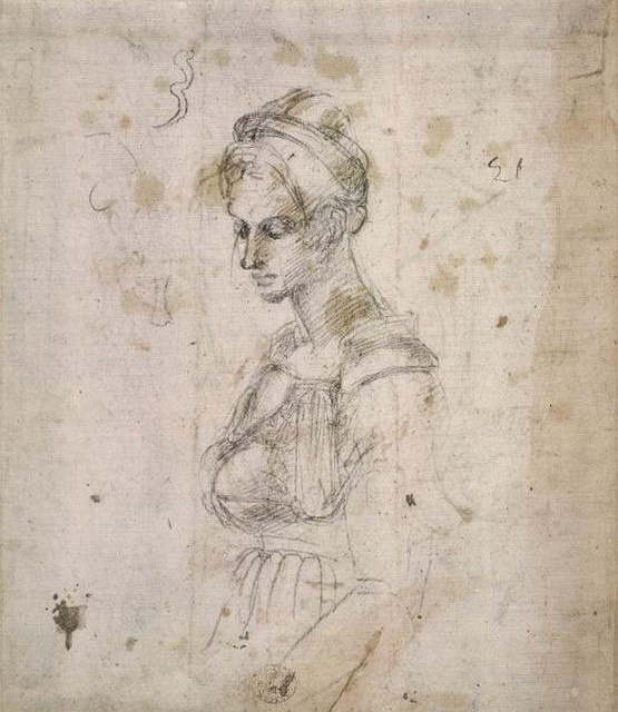 Michelangelo. Portrait of a Woman. 1530.