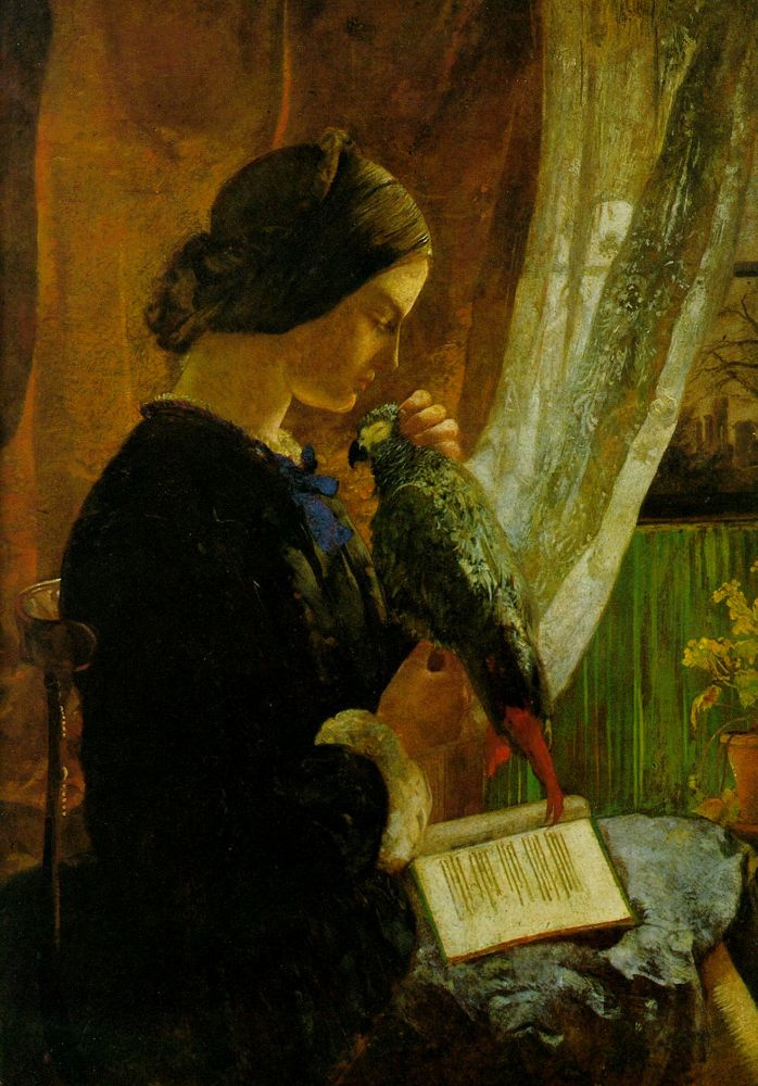 Walter Howell Deverell. Parrot