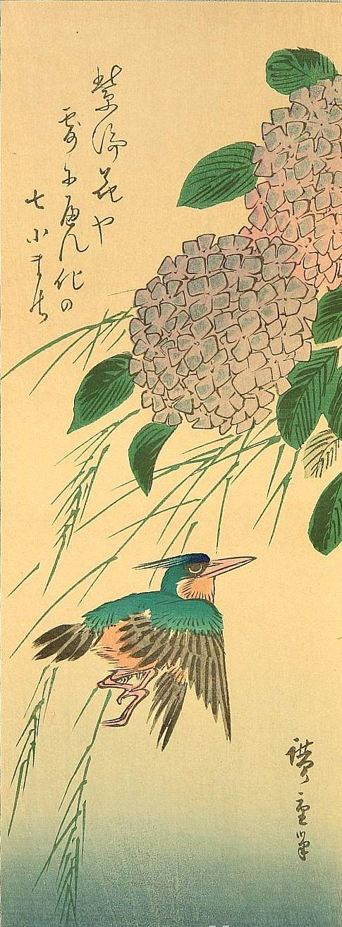 Utagawa Hiroshige 翠鸟和绣球花。系列“鸟与花”, 1830, 12×32 厘米 