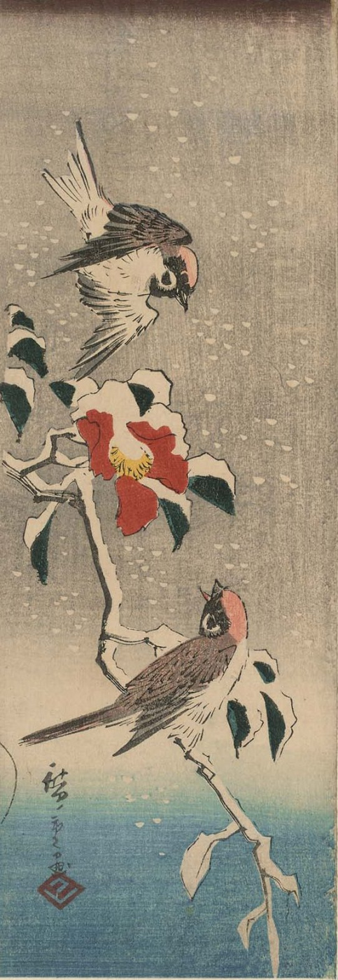 Utagawa Hiroshige. Sparrows and snow-covered Camellia