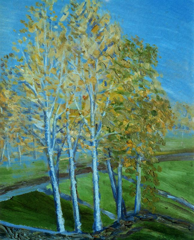 Virhilio Blanco. Birch