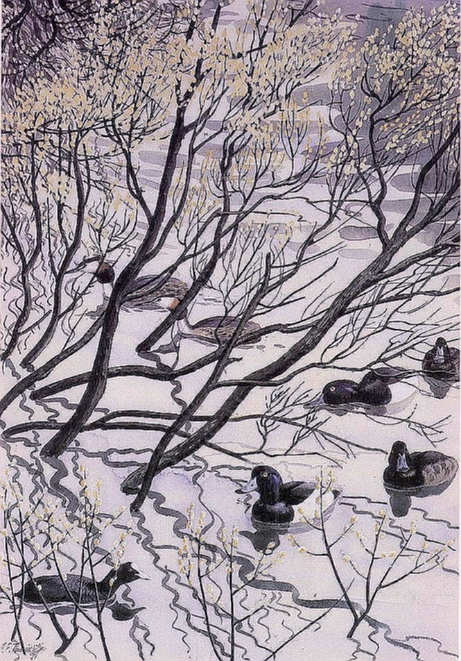 Charles Tannicliffe. Waterfowl