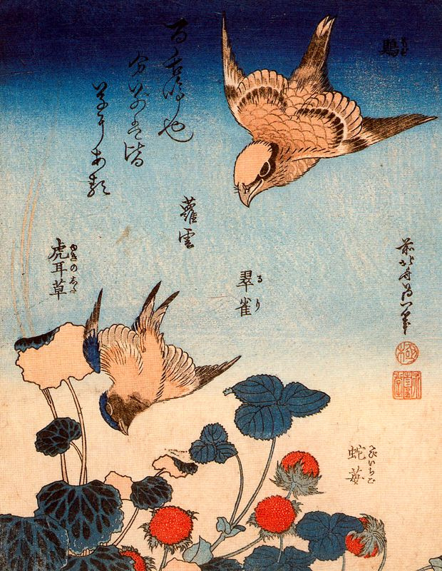 Katsushika Hokusai. Strawberries and swallows