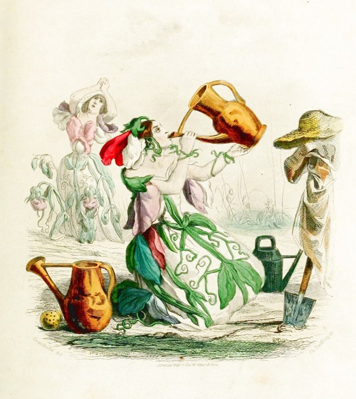 Jean Ignace Isidore Gérard Grandville. Sweet peas. The series "Animate Flowers"