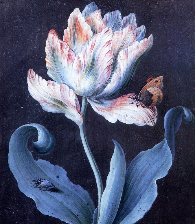 Barbara Deutsch. Popupevent Tulip, a butterfly and a scarab