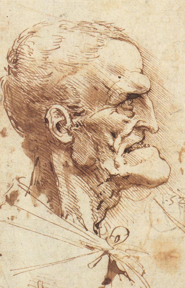 Leonardo da Vinci. Grotesque profile