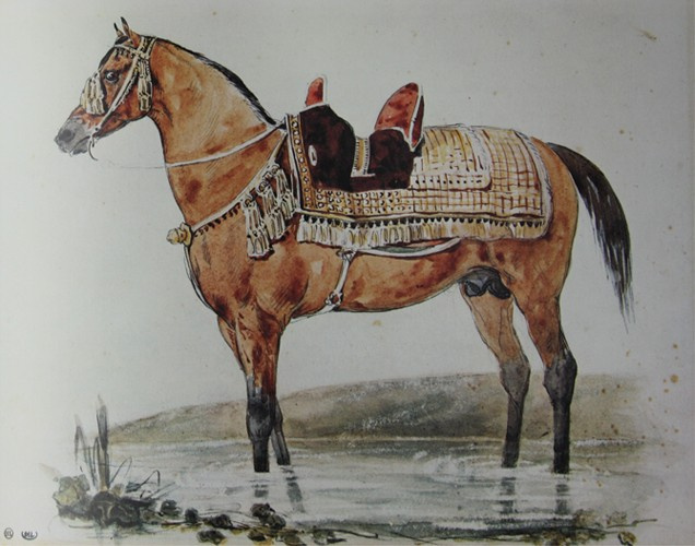 Théodore Géricault. Cavallo arabo sotto la sella in acque poco profonde