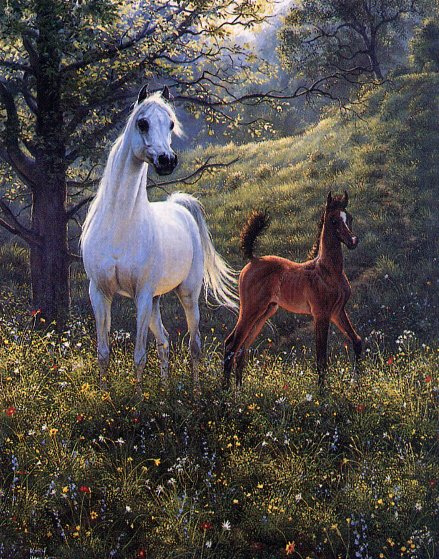 Mary Haggard. White horse