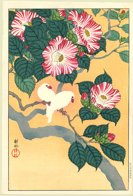 Ohara Koson. Camellia drawing