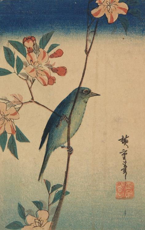 Utagawa Hiroshige. White-eye on the branch of a flowering wild Apple