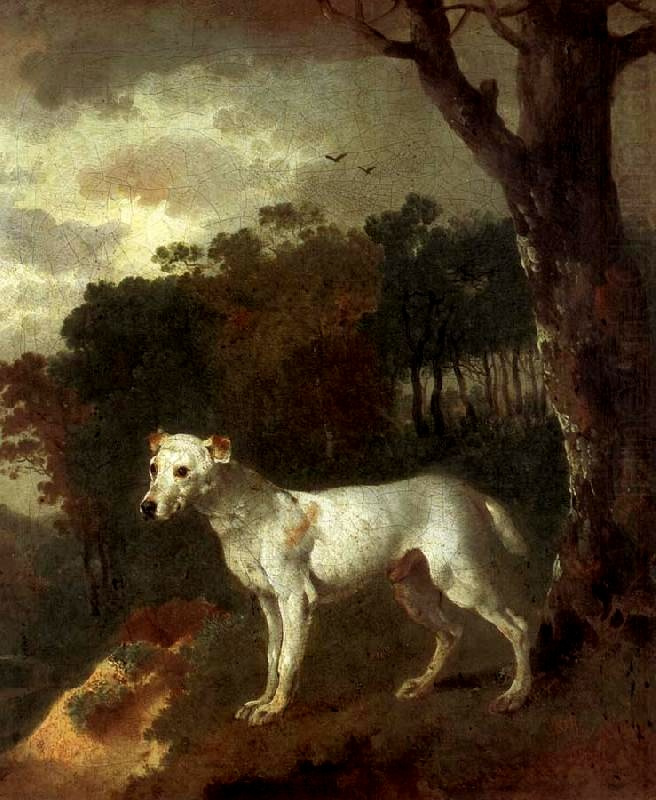 Thomas Gainsborough. Bull Terrier in a landscape