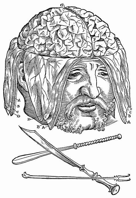 Ханс Бальдунг. Мужская голова с обнаженными извилинами головного мозга