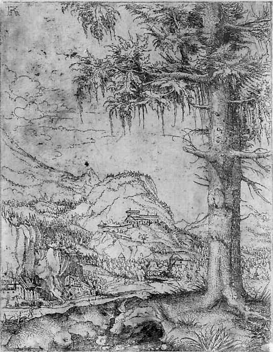 Albrecht Altdorfer. A large pine tree