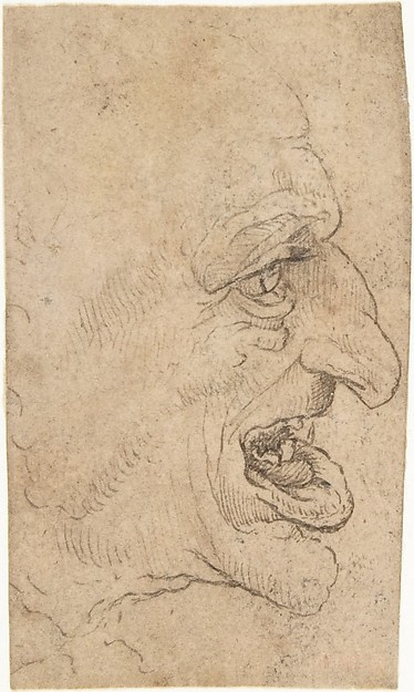 Leonardo da Vinci. Grotesque head of a man in profile
