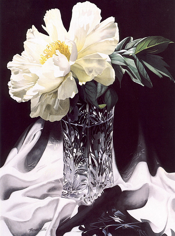 Barbara Buer. White peony