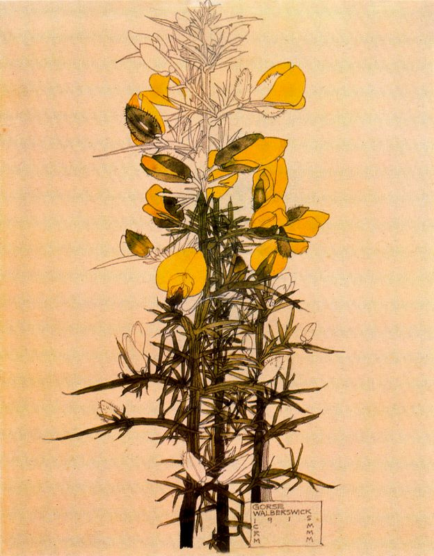查尔斯雷尼 麦金托什. Floral motif 23