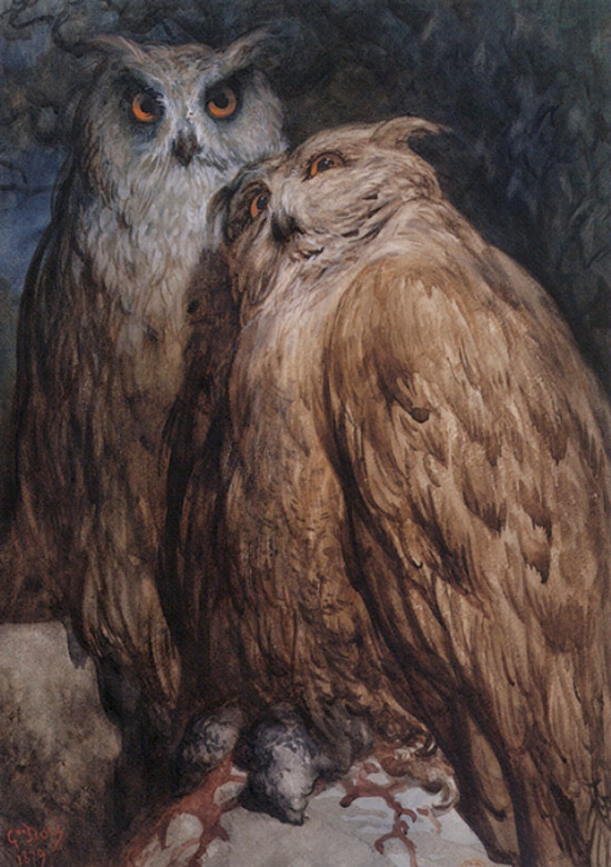 Paul Gustave Dore. Owls