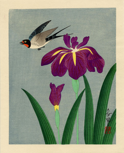 Baku Ono. Bird and flower