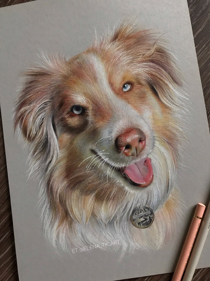 Elena Tkachenko. Dog