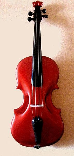 Sergey Khristoforovich Arnaut. Violin