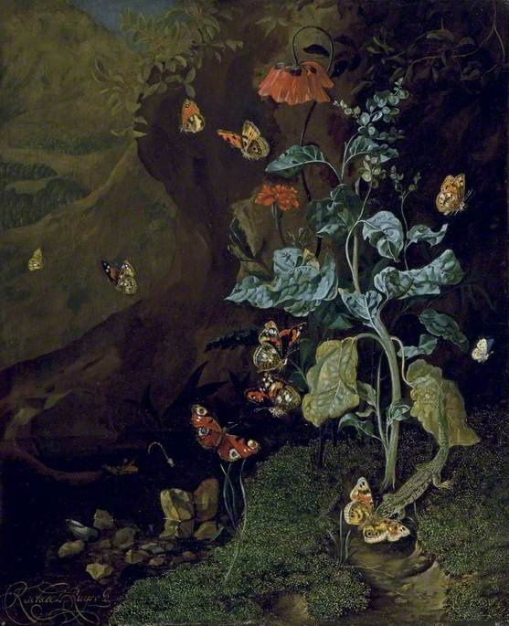 Rachelle Ruysch. Insectos y lagartos en el bosque.