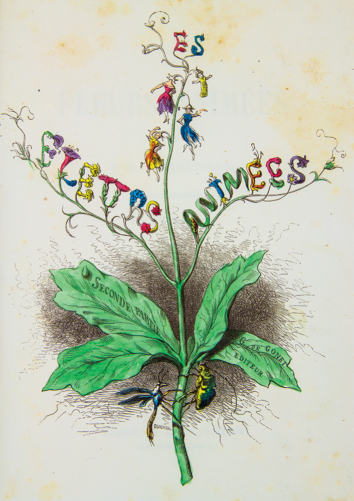 Jean Ignace Isidore Gérard Grandville. A series of "Animate Flowers". Frontisis II