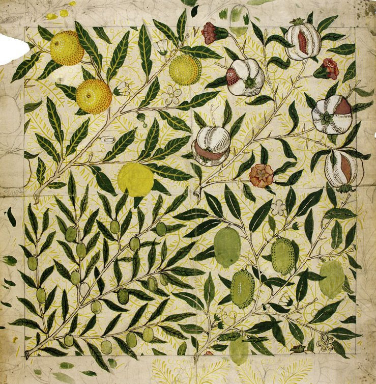 William Morris. Branches with fruit. Sketch