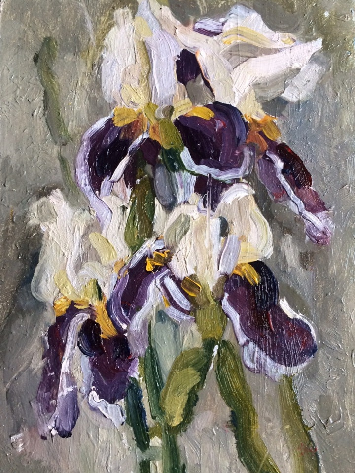 Valeria Ruslanovna Shamsutdinova. Iris