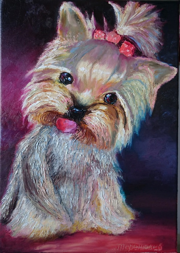 Evgeny Vladimirovich Terentyev. Yorkshire Terrier