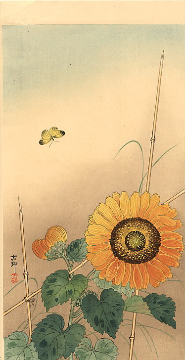 Ohara Koson. Sunflower