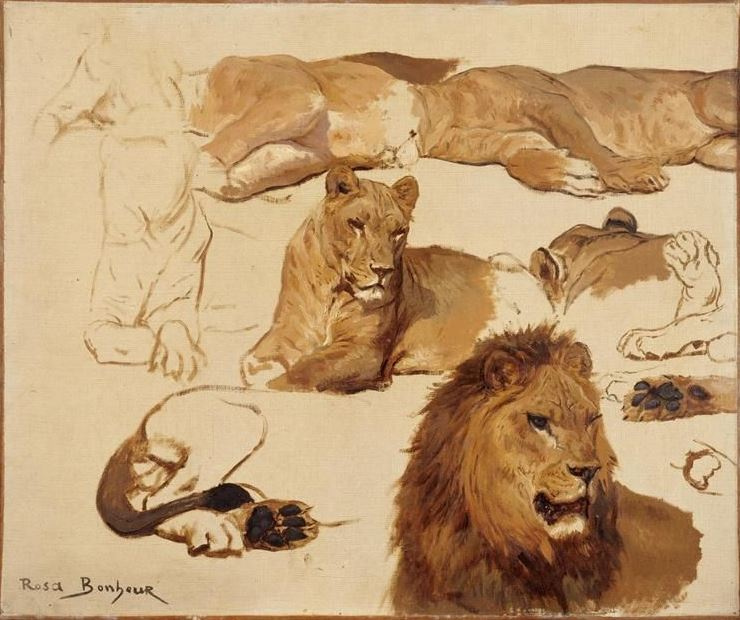 Rose Bonhur. Lion and lioness. Sketches