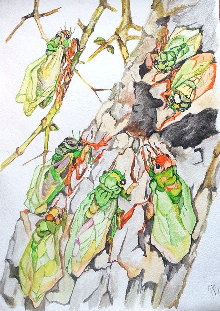 Tatyana Timakova. Green cicadas
