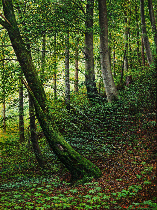 Jürgen Schmidt. Deciduous forest near Schongau