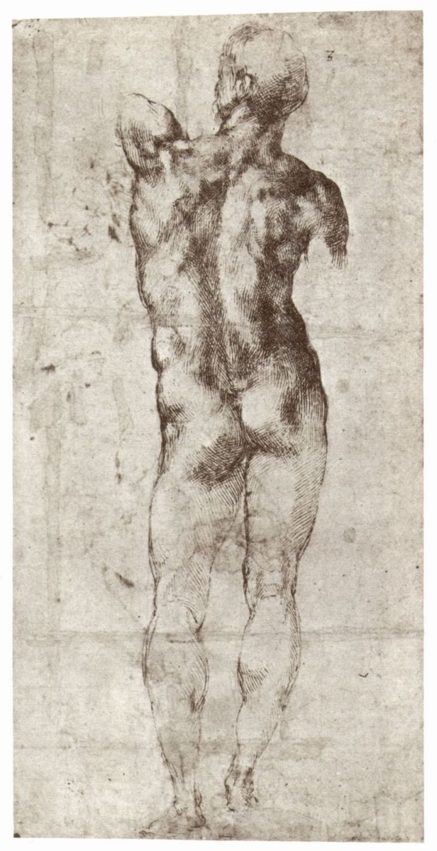 Michelangelo Buonarroti. Standing Nude, seen from behind