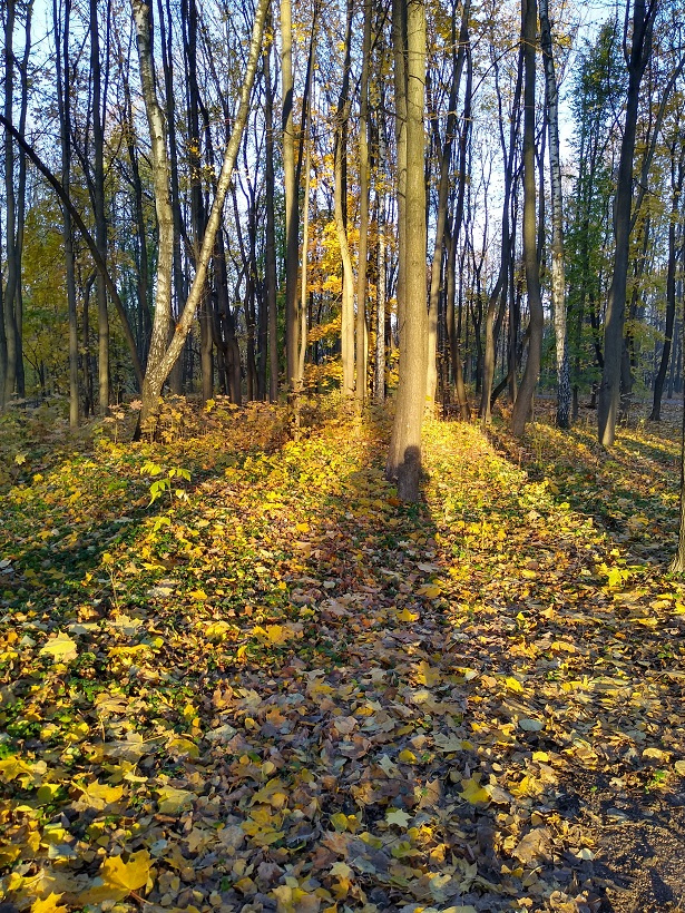 Наталя Гарбер. Привет