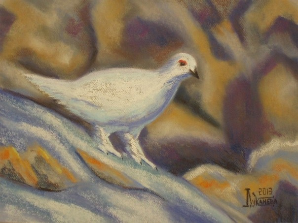 Larissa Lukaneva. The rock ptarmigan