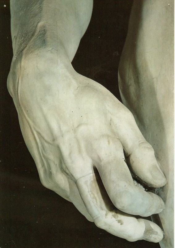 Michelangelo Buonarroti. David. The fragment of the hand