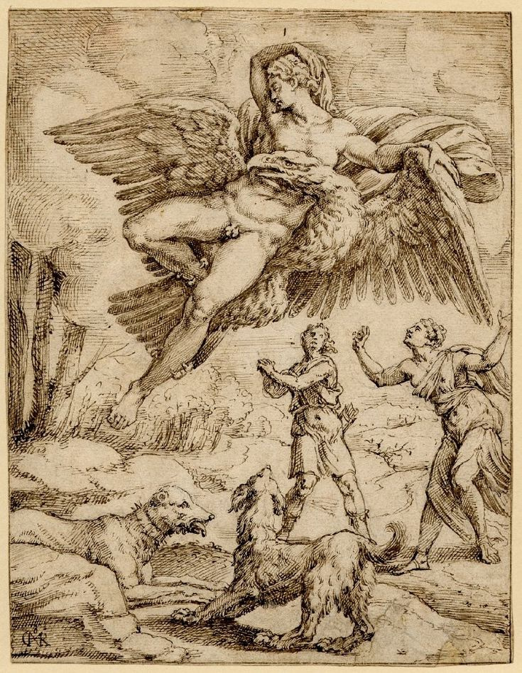 Mihil van Coxie. The Abduction Of Ganymede