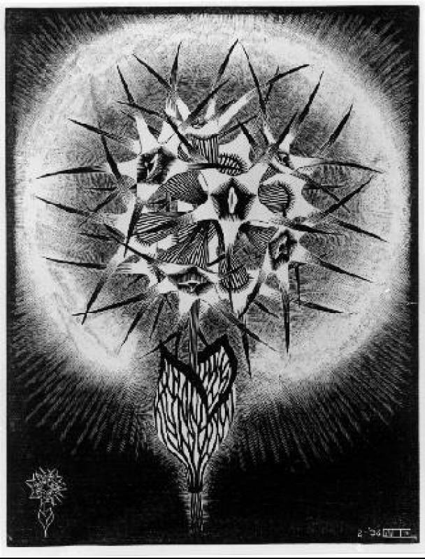 Maurits Cornelis Escher. Spiny flower