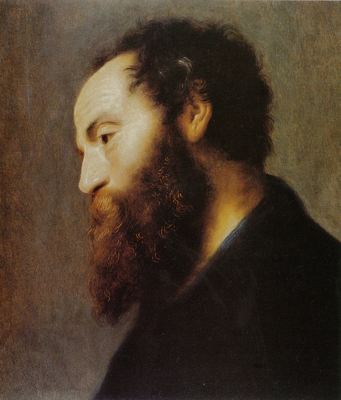 Ян Ливенс. Портрет мужчины с бородой