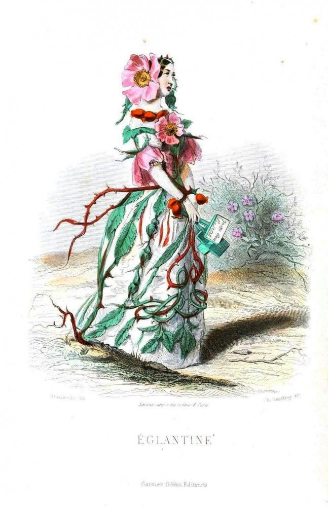 Jean Ignace Isidore Gérard Grandville. Rosehips. The series "Animate Flowers"