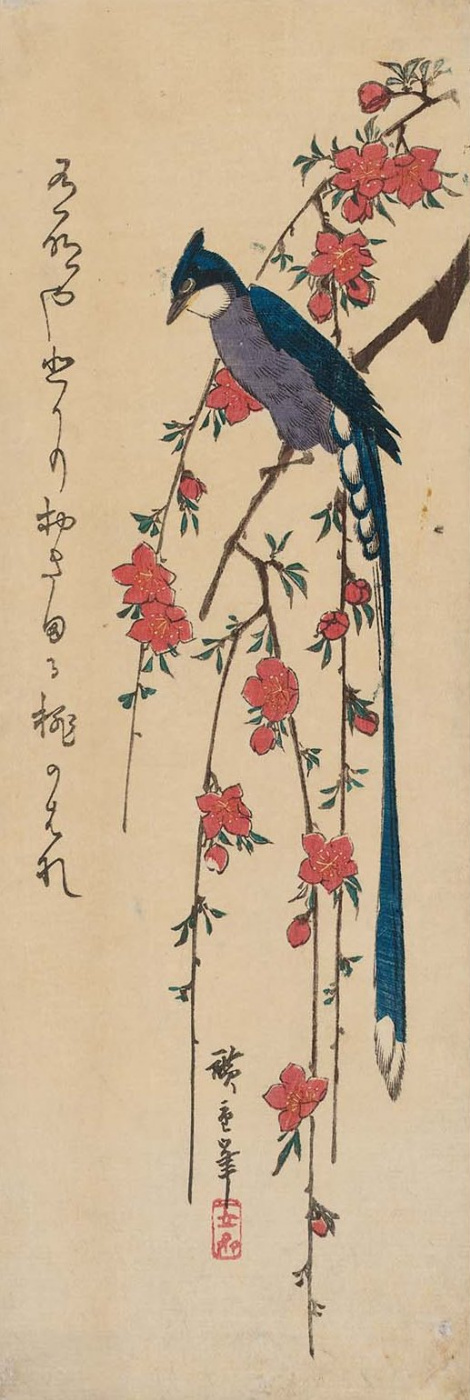 Utagawa Hiroshige. Long-tailed bird on flowering branch of peach. Series "Birds and flowers"