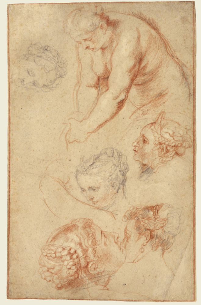 Sketches of women, 1628, 29×45 cm by Peter Paul Rubens: History 