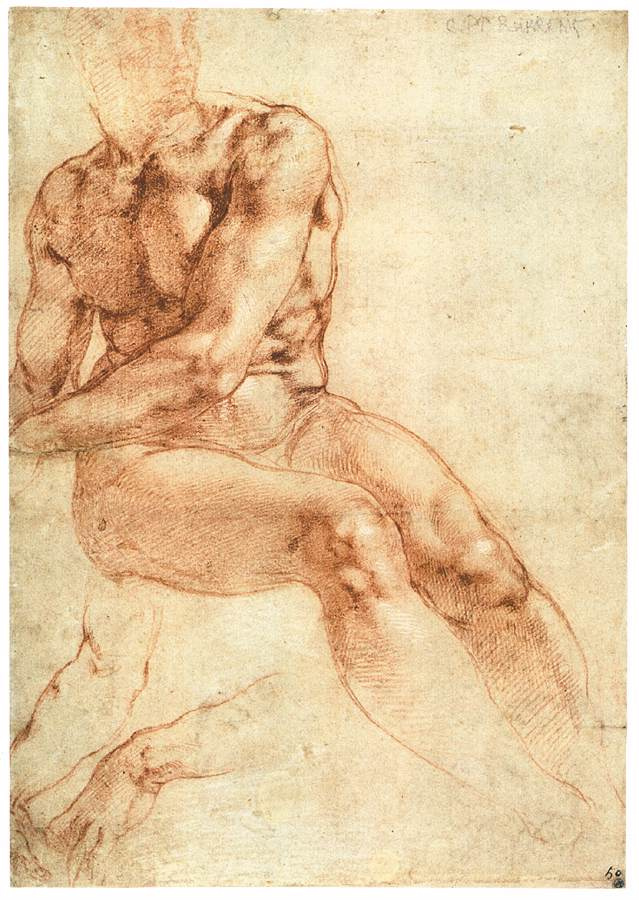 Michelangelo Buonarroti. Sitting Nude